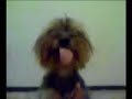 Tita freestyle! B-Dog! feat Camila