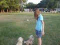 Roxy Catches Treat
