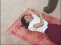 Elephant Molester