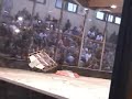 Who's Your Daddy vs Botfly Robolympics 2005