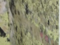 Click here to watch this video mould.m4v
