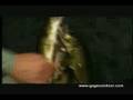 Ontario Northern Pike Fishing Lodge