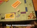 Monopoly Fun