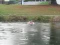 videos de traversee