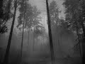 Beautiful song from the album 