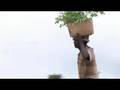 Planting Hope in Haiti
