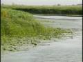 videos de The Major Natural Parks of Europe  Part 07