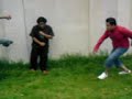 videos de la banda videos de la banda