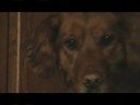 Soguma Bloopers - Part I Soguma Bloopers - Part I