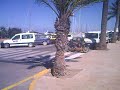 FORMENTERA FORMENTERA