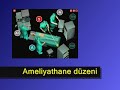 ENDOSCOPIC HERNIA REPAIR (Kapalı Fıtık Ameliyatı)