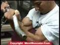 Bodybuilding-Bodybui
