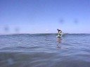 Lucas Surfing in Hawaii