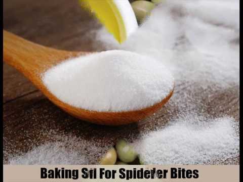 how to treat a spider bite