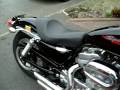 videos de sweet sportster 883 running