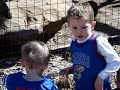 When Kids Rule the World