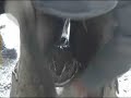 This is a quick video of a trim from the farrier today.