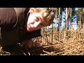 Britain in COLD BLOOD - The Viviparous Lizard