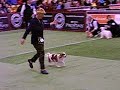 National Dog Show 2006