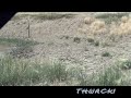 WY Antelope WY Antelope