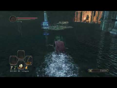 Estus Flask Shard at Shrine of Amana, Dark Souls 2: SotFS