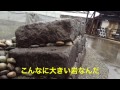 トトロが爆風吹き荒れる金沢城でスキップ <石川3> 石川城