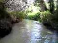 Frasor Island Fresh Water River Walk