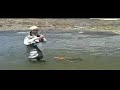 Jurassic Lake - 10 Pounder from the Stream