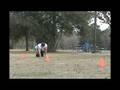 270 pounds 2.65 20 yard dash