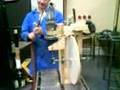 Motor stirling con una lata de tomate