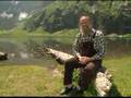 Video ansehen