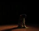 Festival Nouvelle Sc�ne Europ�enne 2008