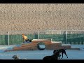 timelapse play structure