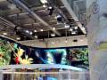 videos de EIMA 2008 - Stand New Holland