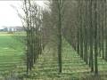 videos de Het verlaten perron in Lelystad-Zuid