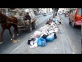 الاسكندرية | القمامة تحتل شوارع العجمي في عهد السيسي 12 \ 8 \ 2014 . -Views : 0