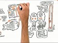 Mudando Paradigmas na Educação (Dublado) - RSA Animate