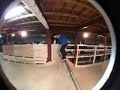 SEXY.MOV