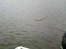 HOW2fish Hartwell Double Header ???
