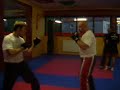 Sparringstreffen