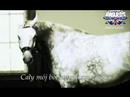 WITHIN TEMPTATION - All I Need WITHIN TEMPTATION - All I Need