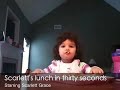 Scarlett's Lunch in Thirty Seconds