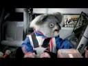 Co-Pilot Co-Pilot