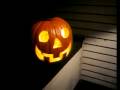 videos de The Life And Death Of A Pumpkin