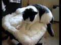 Flip knuffelt