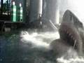 Jaws (Universal Studios Orlando)