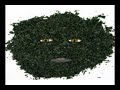 Alcohol Marijuana 2 Salvia