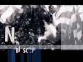 Oprawa kibiców Ruchu z Katowic (Ruch - Jagiellonia, 08.11.2009 r.)