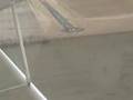 Flying Aeronca Champ Sport Pilot