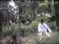 Wudang Gongfu